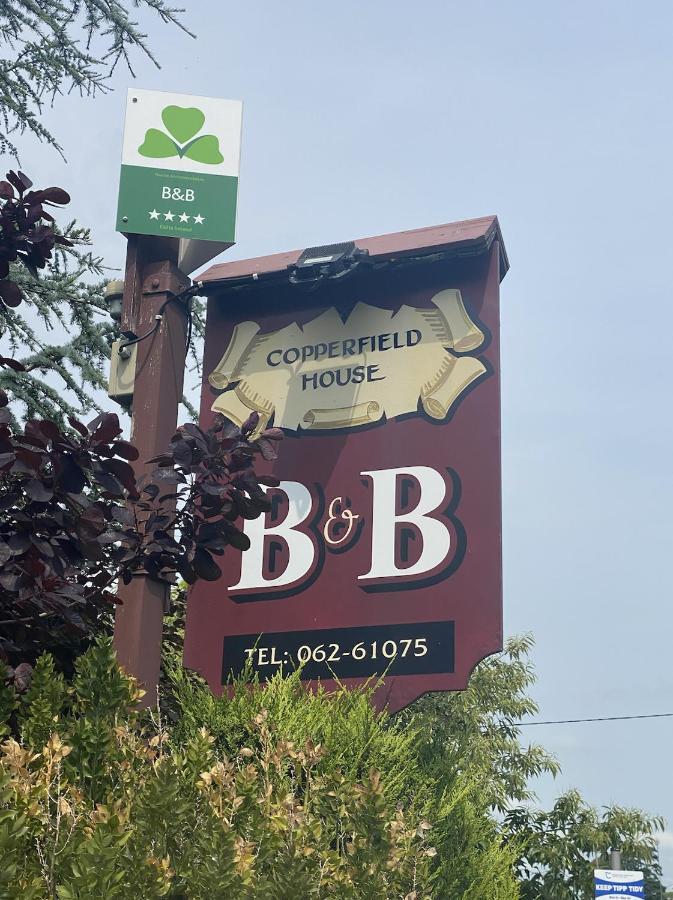 Copperfield House Bed & Breakfast Cashel  Exterior photo
