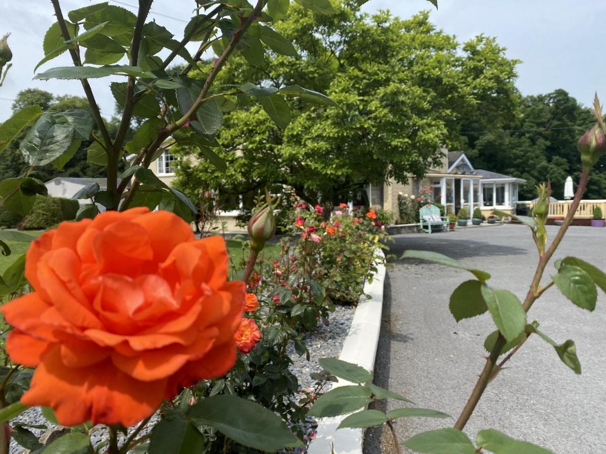 Copperfield House Bed & Breakfast Cashel  Exterior photo
